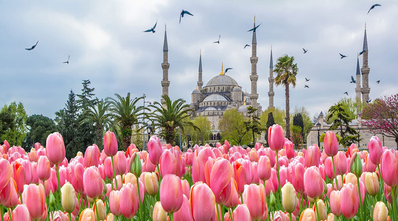 فستیوال گل لاله استانبول